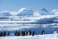Antarctic polar warming