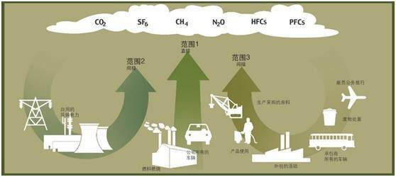 The gases that cause the greenhouse effect