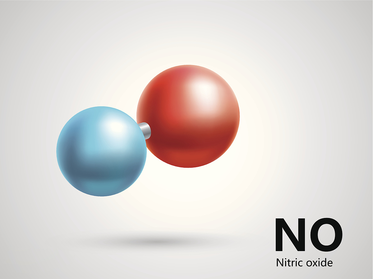 The benefit of nitric oxide on the human ...